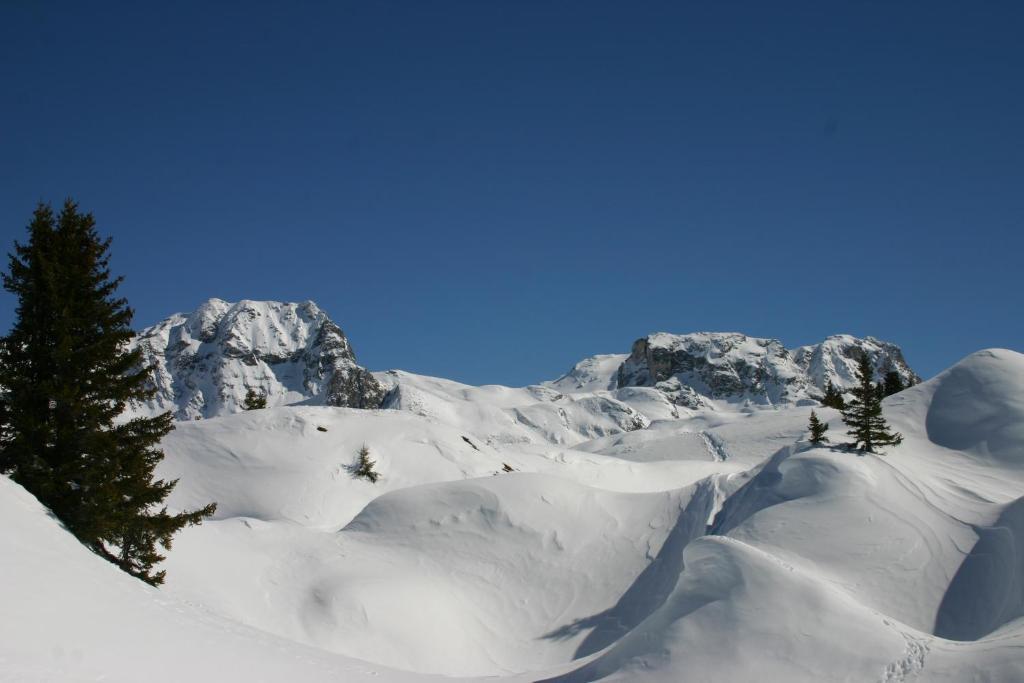Madame Vacances Les Chalets Du Praz La Plagne Exterior photo